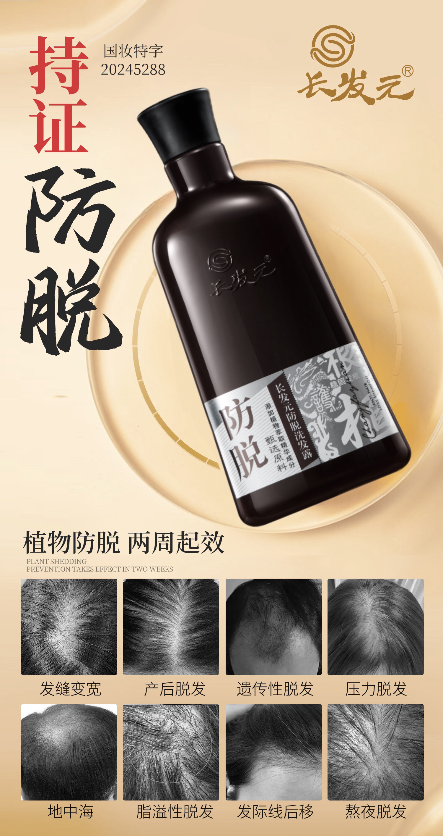 微信图片_20241205170638.jpg