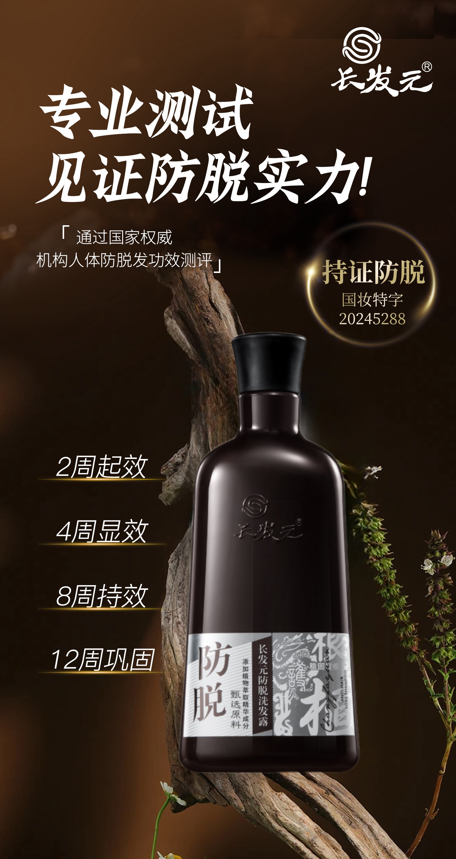 微信图片_20241205170641.jpg