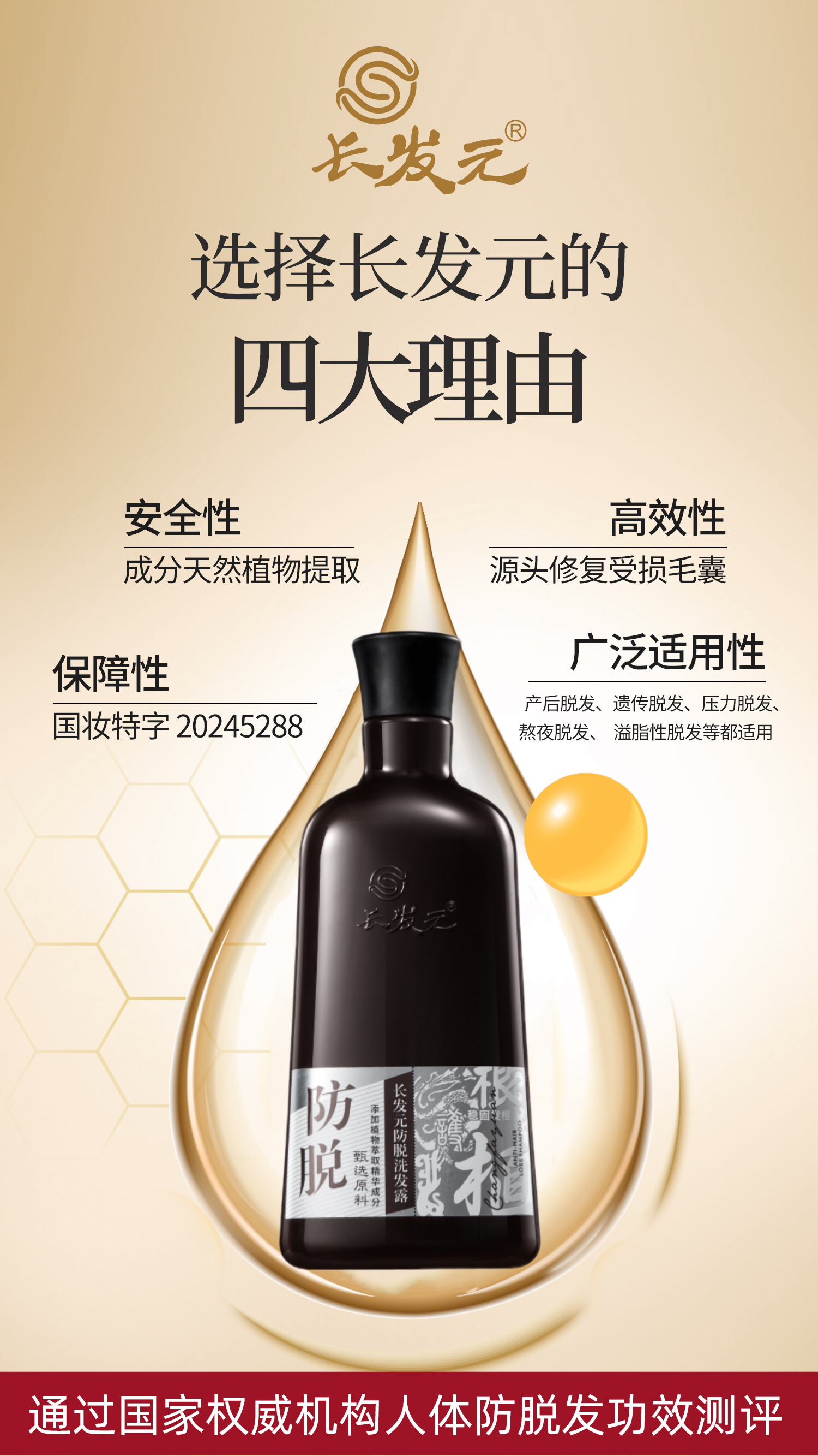 微信图片_20241205170444.jpg