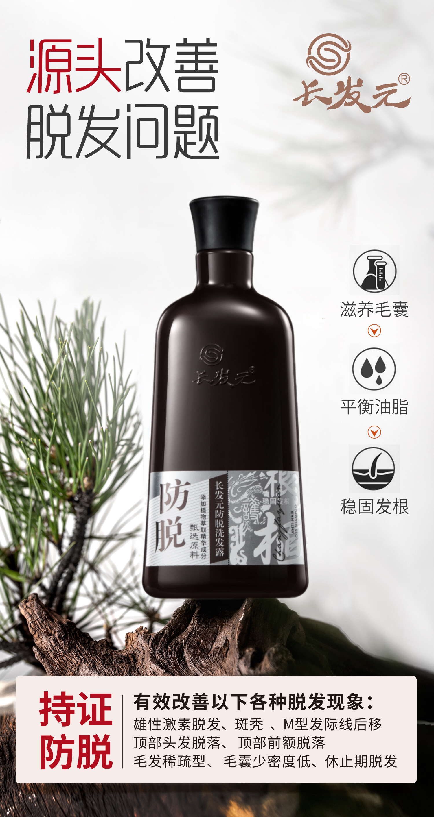 微信图片_20241205170631.jpg
