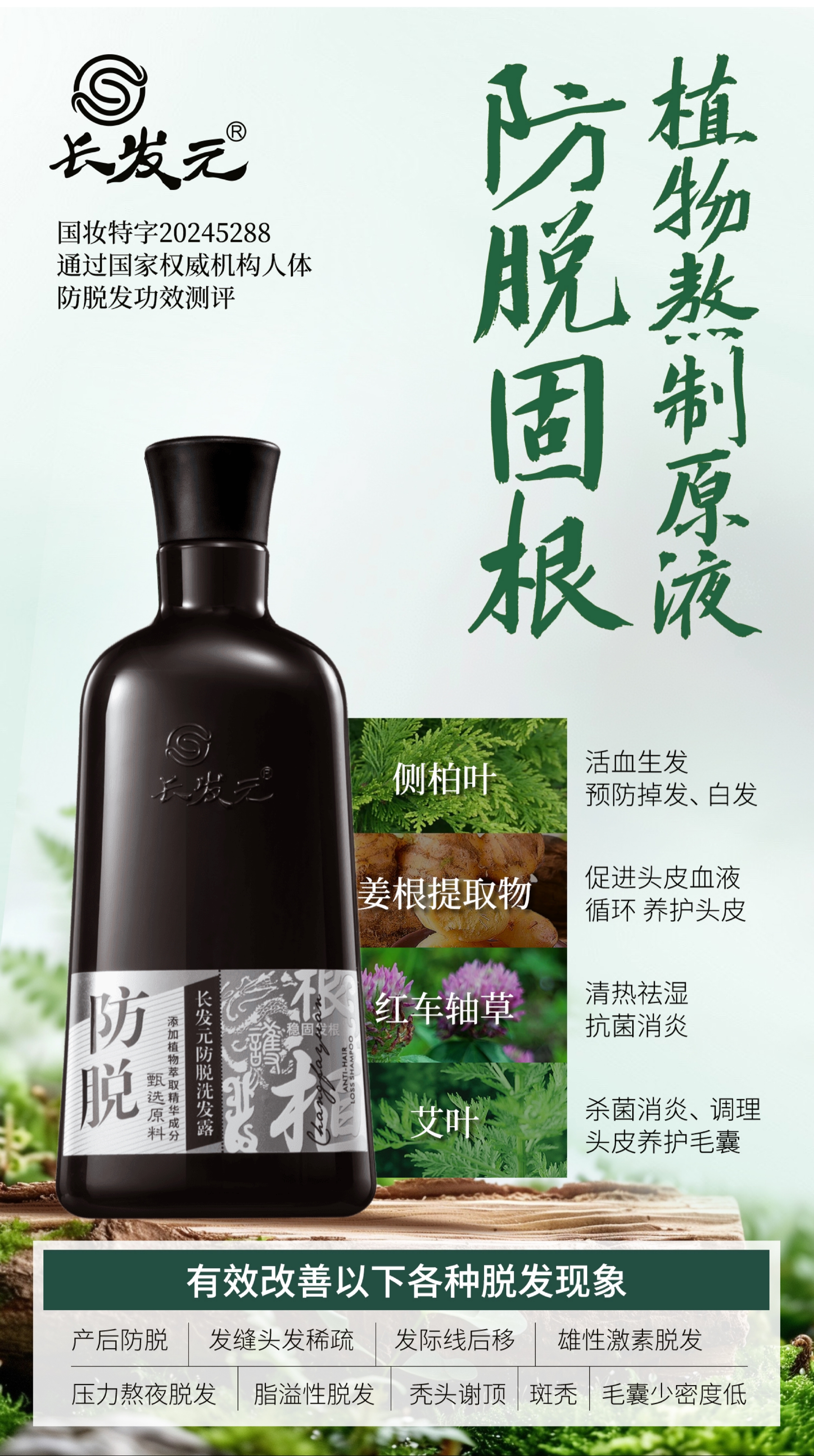 微信图片_20241205170655.jpg
